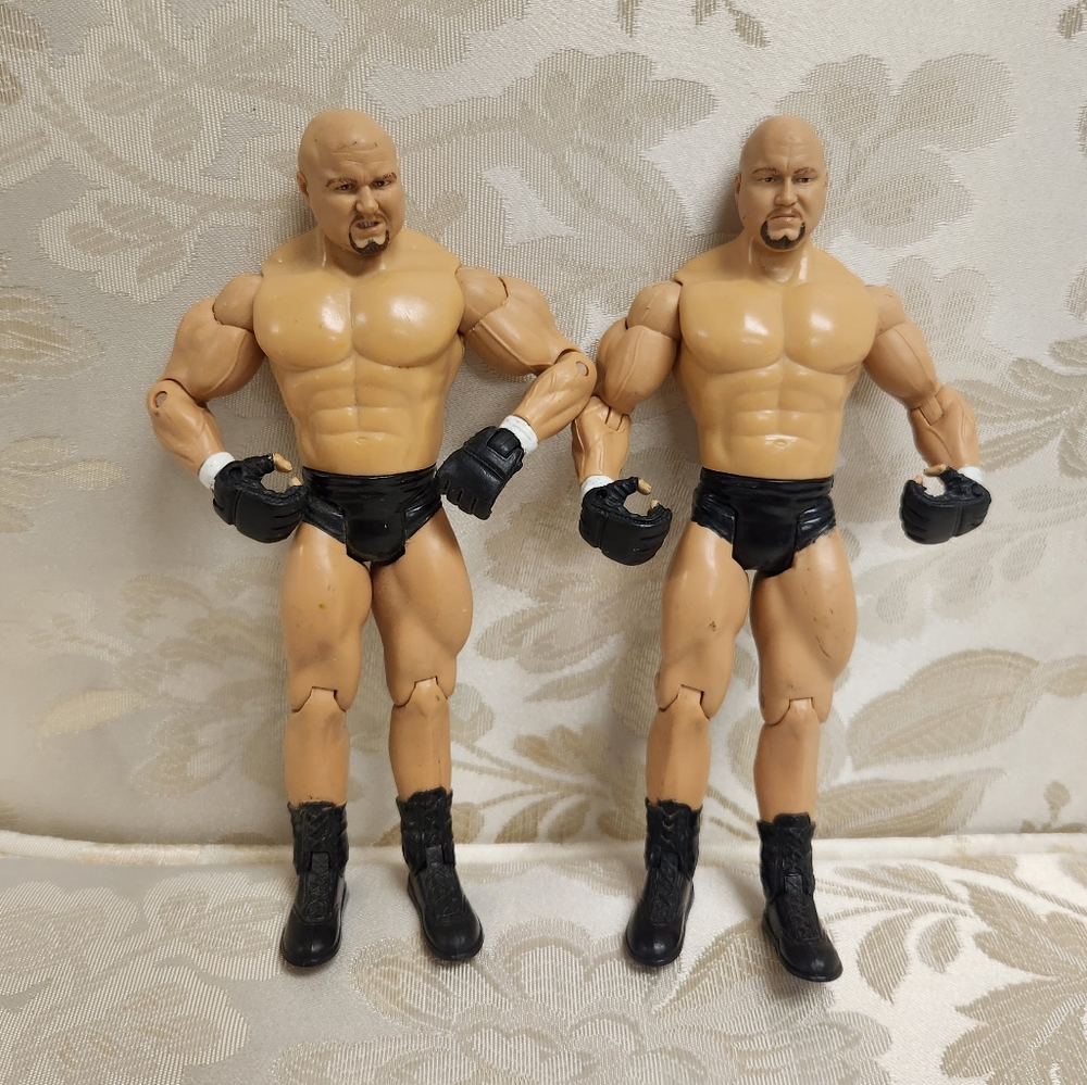 GYMINI Jake + Jesse WWE Jakks Pacific 2003 Action Figures